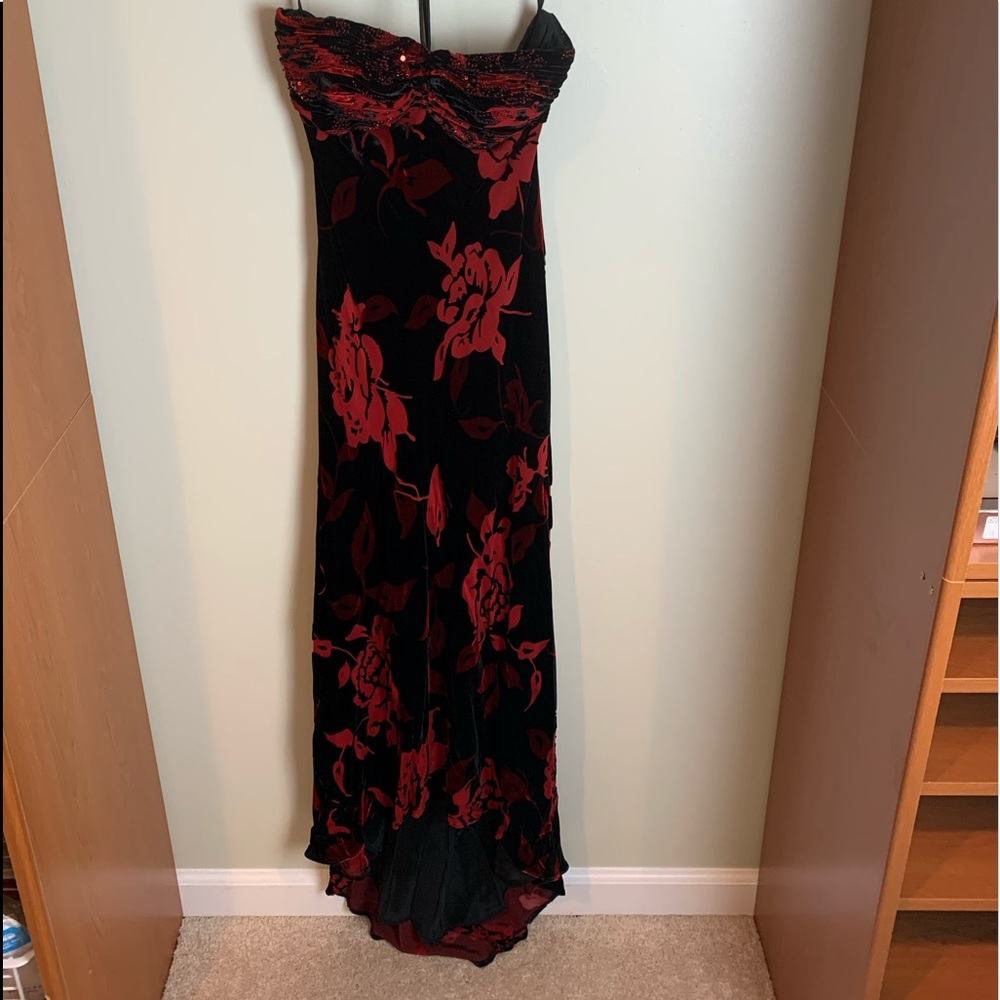 Cache velvet dress brand new with tags